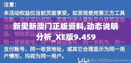 新奥新澳门正版资料,动态说明分析_XE版9.459