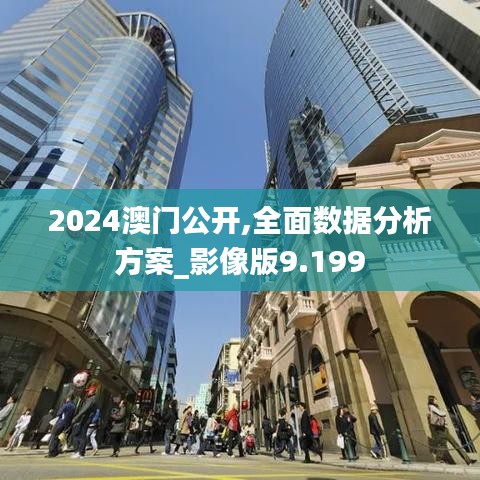 2024澳门公开,全面数据分析方案_影像版9.199