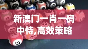 新澳门一肖一码中恃,高效策略实施_BT9.682