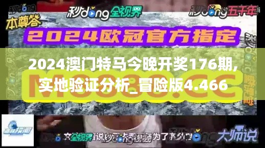 2024澳门特马今晚开奖176期,实地验证分析_冒险版4.466