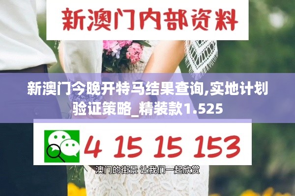 新澳门今晚开特马结果查询,实地计划验证策略_精装款1.525