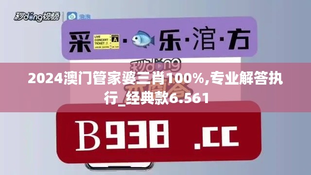 2024澳门管家婆三肖100%,专业解答执行_经典款6.561