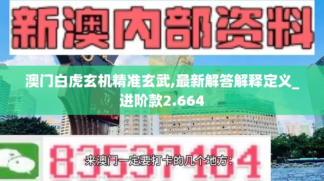 澳门白虎玄机精准玄武,最新解答解释定义_进阶款2.664