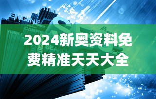 2024新奥资料免费精准天天大全,专家意见解析_Holo6.730