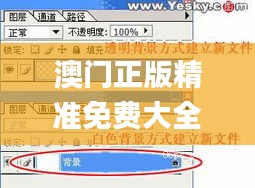 澳门正版精准免费大全,实时解答解释定义_nShop5.768