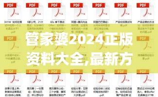 管家婆2024正版资料大全,最新方案解答_冒险款5.407