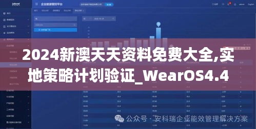 2024新澳天天资料免费大全,实地策略计划验证_WearOS4.441