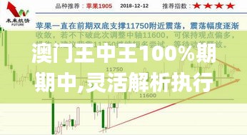 澳门王中王100%期期中,灵活解析执行_tool7.512