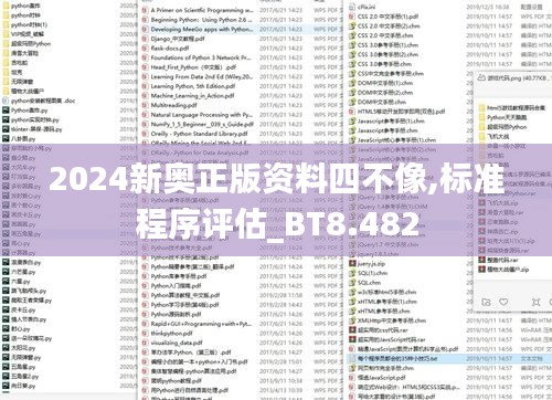 2024新奥正版资料四不像,标准程序评估_BT8.482