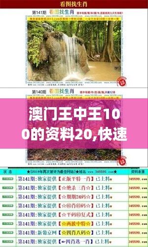 澳门王中王100的资料20,快速解答设计解析_RX版2.710