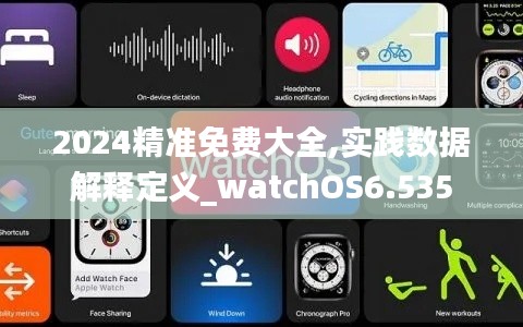 2024精准免费大全,实践数据解释定义_watchOS6.535