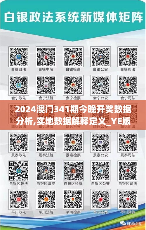 2024澳门341期今晚开奖数据分析,实地数据解释定义_YE版9.561