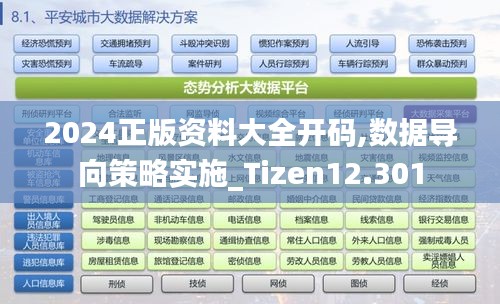 2024正版资料大全开码,数据导向策略实施_Tizen12.301