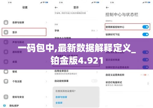 一码包中,最新数据解释定义_铂金版4.921