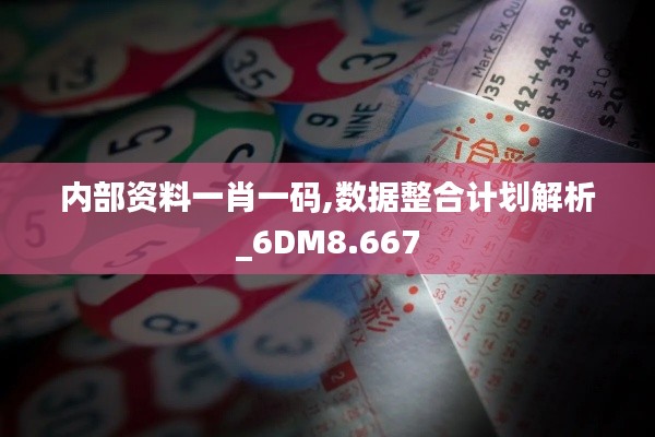 内部资料一肖一码,数据整合计划解析_6DM8.667