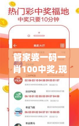 管家婆一码一肖100中奖,现状解读说明_WP19.438