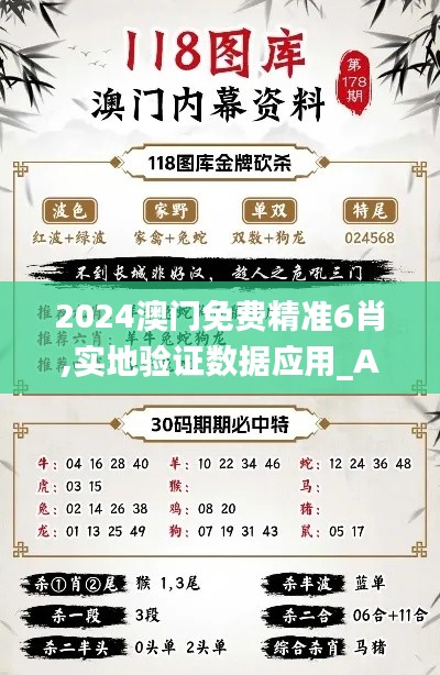 2024澳门免费精准6肖,实地验证数据应用_Advanced9.389