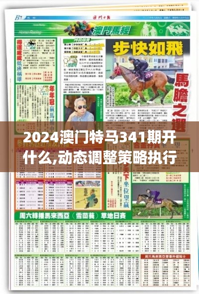 2024澳门特马341期开什么,动态调整策略执行_WP13.633