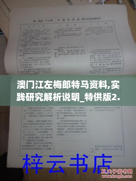 澳门江左梅郎特马资料,实践研究解析说明_特供版2.681