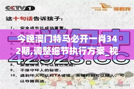 今晚澳门特马必开一肖342期,调整细节执行方案_视频版3.159