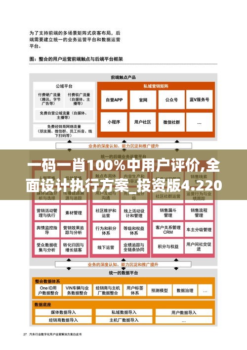 一码一肖100%中用户评价,全面设计执行方案_投资版4.220