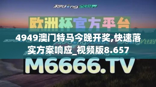 4949澳门特马今晚开奖,快速落实方案响应_视频版8.657