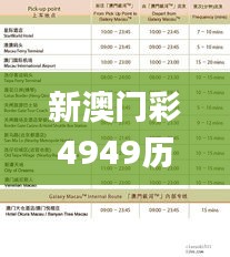 新澳门彩4949历史记录,稳定性方案解析_限量款3.391