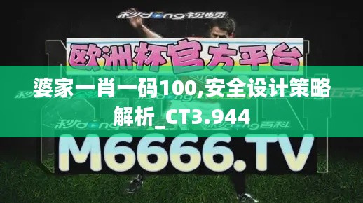 婆家一肖一码100,安全设计策略解析_CT3.944