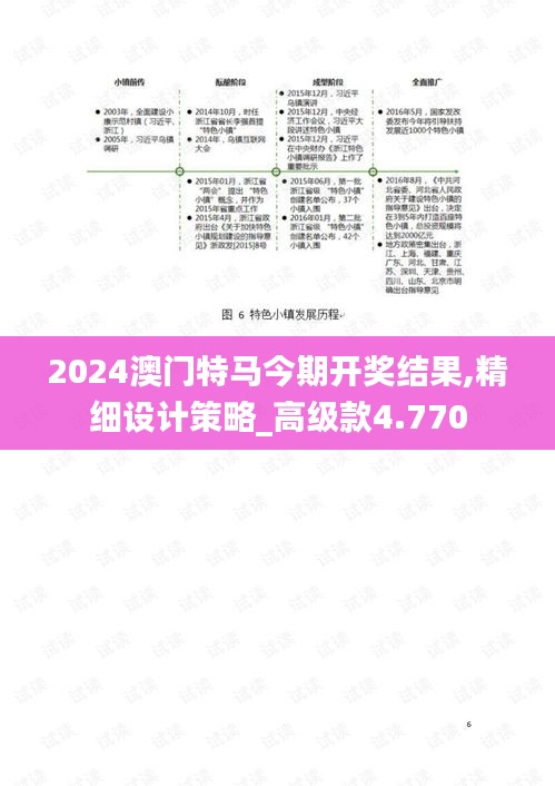 2024澳门特马今期开奖结果,精细设计策略_高级款4.770