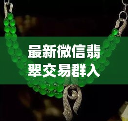 微信翡翠交易群入门指南，从新手到专家（最新指南）