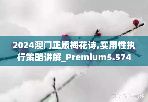 2024澳门正版梅花诗,实用性执行策略讲解_Premium5.574