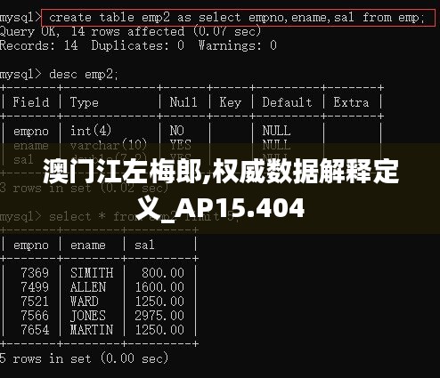 澳门江左梅郎,权威数据解释定义_AP15.404