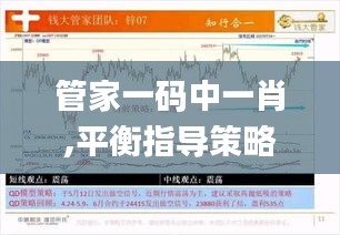 管家一码中一肖,平衡指导策略_Essential3.391