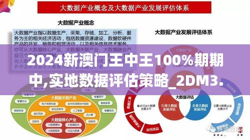 2024新澳门王中王100%期期中,实地数据评估策略_2DM3.590