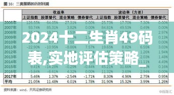 2024十二生肖49码表,实地评估策略_N版5.546