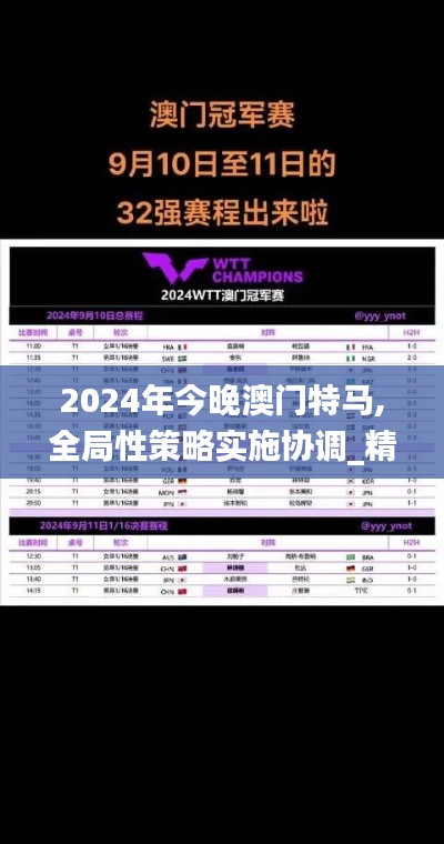 2024年今晚澳门特马,全局性策略实施协调_精英款9.438