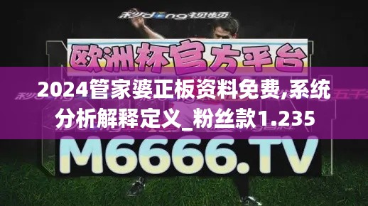 2024管家婆正板资料免费,系统分析解释定义_粉丝款1.235