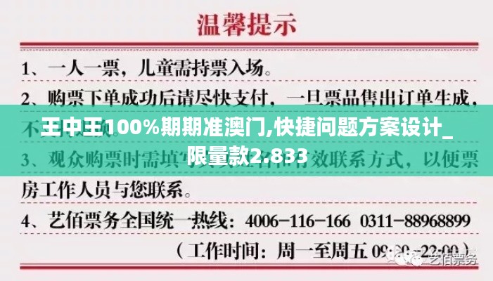 王中王100%期期准澳门,快捷问题方案设计_限量款2.833