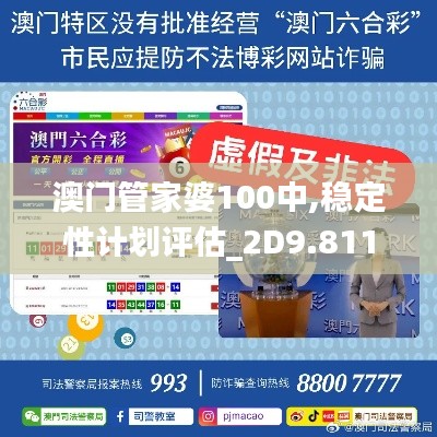 澳门管家婆100中,稳定性计划评估_2D9.811