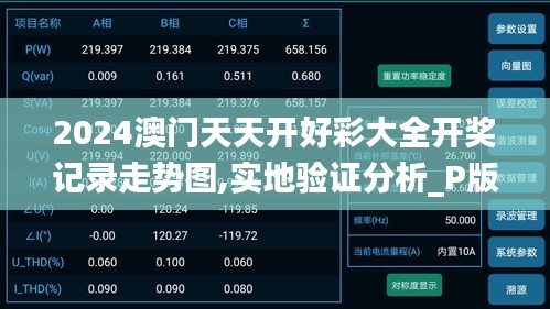 2024澳门天天开好彩大全开奖记录走势图,实地验证分析_P版3.144