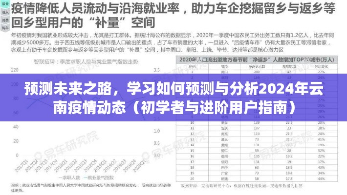 初学者与进阶用户指南，预测分析2024年云南疫情动态，探索未来之路