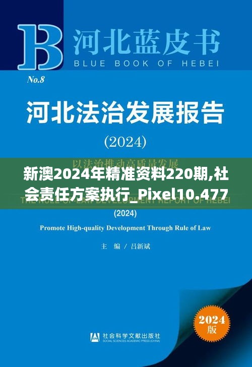 新澳2024年精准资料220期,社会责任方案执行_Pixel10.477