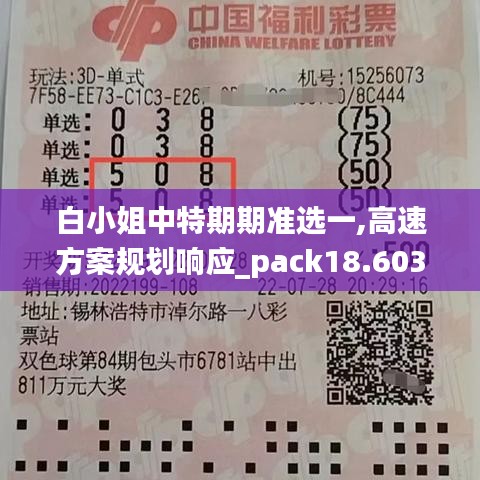 白小姐中特期期准选一,高速方案规划响应_pack18.603