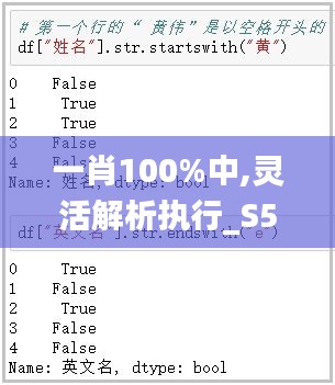 一肖100%中,灵活解析执行_S5.371