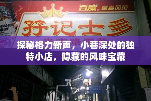 格力新声背后的风味宝藏，小巷深处独特小店的探秘之旅