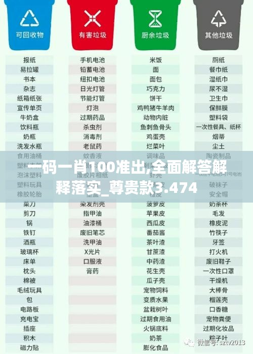 一码一肖100准出,全面解答解释落实_尊贵款3.474