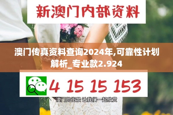 澳门传真资料查询2024年,可靠性计划解析_专业款2.924