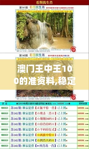 澳门王中王100的准资料,稳定性策略设计_扩展版3.988