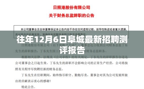 阜城最新招聘测评报告出炉，揭秘往年12月6日的人才市场动向