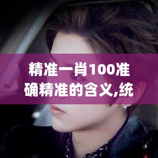 精准一肖100准确精准的含义,统计解答解析说明_至尊版7.201